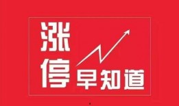 惠阳早知道新闻爆料电话,揭秘新闻爆料热线背后的故事