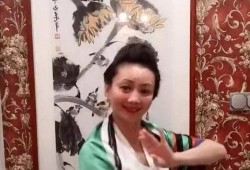 朱军爆料谭梅视频播放,真相与争议交织