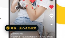 小椰子财团爆料视频大全,揭秘财经内幕与行业真相