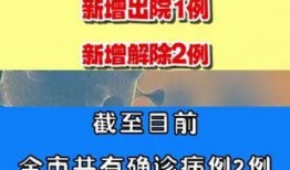 枞阳新闻爆料电话号码,民众关注焦点问题速来反映