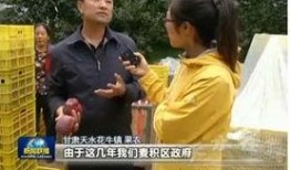 央视新闻今日头条爆料视频,今日头条爆料视频背后的惊人真相