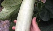 吃网红瓜的同时,揭秘娱乐圈幕后故事