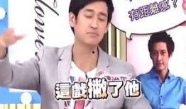 台湾爆料内地娱乐圈,台湾爆料内地娱乐圈内幕