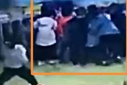 石家庄幼师爆料视频,揭秘幼儿园真实状况