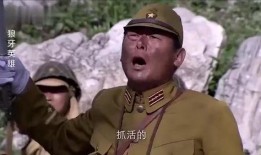 鬼子上山爆料视频在线观看,揭秘神秘事件背后的真相