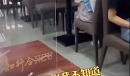东北人食堂爆料视频播放,视频播放背后的真实故事