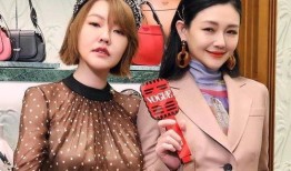 圈内爆料小s,揭秘明星背后的真实故事