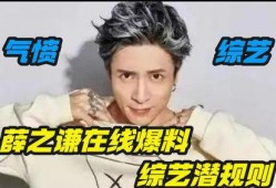 薛之谦被爆料了吗视频,真相究竟如何？