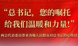 潍坊爆料最新新闻报道事件,惊现重大事件引发社会关注