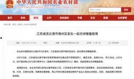 江苏热点爆料暴力新闻最新,街头冲突升级，警方介入调查