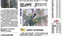 天气爆料最新消息新闻报道,多地迎来强降雨，出行请注意安全”