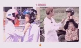 圈内人爆料正泰,圈内人揭秘组合背后的真实情感与成长历程