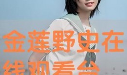 金莲在线视频手机观看,手机畅享精彩视频盛宴