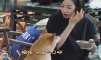 辉叔爆料娱乐八卦视频,娱乐圈幕后真相大曝光！