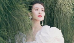 娱乐大爆料刘诗诗,娱乐圈的优雅女神，生活与事业的完美平衡