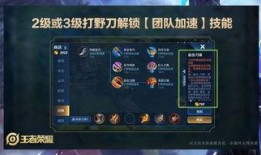 王者大陆爆料视频大全