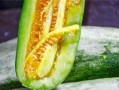 从哪里吃网红的瓜,从各大平台探寻热门八卦的诞生地