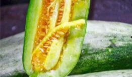从哪里吃网红的瓜,从各大平台探寻热门八卦的诞生地