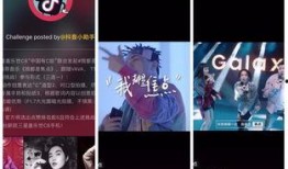 抖音爆料要原视频吗,揭秘“要原视频”背后的热门话题