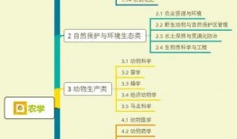 五华水寨爆料视频大全集,揭秘神秘水寨的传奇故事