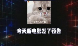 娱乐爆料吃个瓜,明星恋情疑曝光，甜蜜互动引网友热议