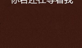 在线观看等找我,在线观看的崛起与影响