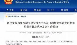 关于政府的新闻爆料,最新爆料揭示政府决策背后真相”