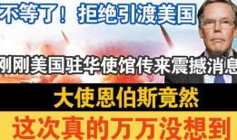 美国大使馆最新爆料消息,揭秘某重大国际事件背后真相