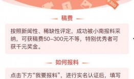 怎么填写爆料视频表,轻松掌握信息上报技巧