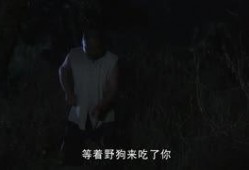 章叔爆料视频完整版,事件真相与幕后黑幕大起底