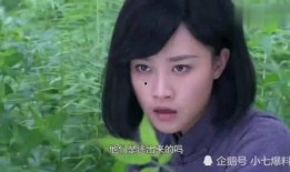 小七爆料视频,娱乐圈幕后真相大曝光