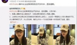 惠东黄排新闻爆料,事件真相及后续进展揭晓