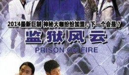 枫林爆料陈淼淼简介视频,陈淼淼简介视频深度解析