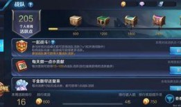 王者大陆爆料视频大全