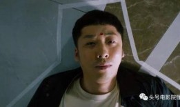 明星大鹏爆料事件真相视频,事件真相视频背后的惊人内幕