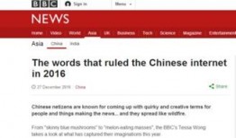实时评论吃瓜网站大全免费,免费畅享实时评论盛宴！