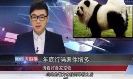 明星大鹏爆料事件真相视频,事件真相视频背后的惊人内幕