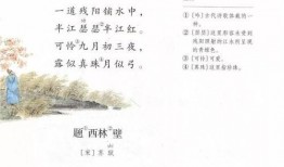 改编古诗爆料版视频教程,揭秘改编爆料版视频教程背后的诗意魅力