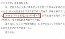 富力地产爆料最新消息视频,揭秘公司动态与未来战略